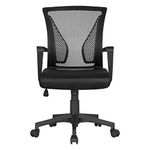 Computer Desk Chairs