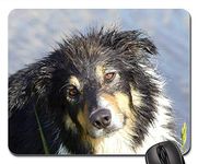 Gaming mouse pads,mouse mat,Dog Dogs Pet Sweet Animal Portrait Three Colors