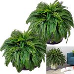 Faux Fern, 2pcs Artificial Ferns 88Branches Hanging Artificial Boston Fern 40 Inch Faux Ferns for Outdoor Planter Large for Decorating Office, Patio, Living Room Fake Ferns