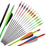 Huntingdoor 12 Pcs 31 inch Archery Carbon Arrows Rainbow Color Spine 400, Hunting Targeting Arrows with Replacement Screw-in Broadheads Nock Rotatable for Recurve Bow Compound Bow 35-65lbs