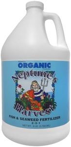 Neptune's 