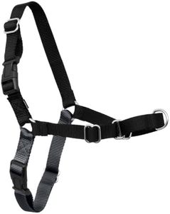 PetSafe Easy Walk No-Pull Dog Harness - Ultimate Harness to Help Stop Pulling - Pull-Free Walks - Take Control & Teach Better Leash Manners - Patented Martingale Loop Design - Charcoal Gray, Medium