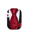 Barry.Wang Mens Red Paisley Ties Silk Pocket Square Cufflinks Necktie for Christmas Wedding Party