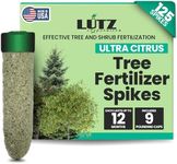 Lutz Corporation Ultra Citrus Tree 