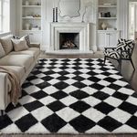 Regal Carpet Luxury Plush Shag Rugs for Living Room, Bedroom & Décor 15x20 Feet
