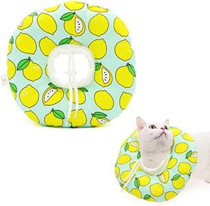 Qpets® Cat