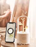 Sound Machine For Kids With Night Light