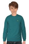 Allen Solly Junior Boys Polycotton Crew Neck Regular Fit Sky Sweatshirt 9-10 Years