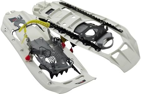 MSR Evo Ex