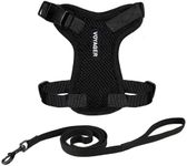 Voyager Step-in Lock Adjustable Cat Harness w. Cat Leash Combo Set with Neoprene Handle 5ft - Supports Small, Medium and Large Breed Cats by Best Pet Supplies - Black, XXS