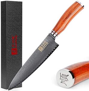 Sunlong Professional Chef's Knives 8 Inch - Japanese 67 Layers Damascus Steel-Bloodwood Handle