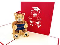 iGifts And Cards Cute Red Cap Graduation Bear 3D Pop Up Greeting Card – Pop Up Grad Card, Success, Hard Work, Happy Memories, Congrats, Congratulations Graduate, Special Celebration, School Ends