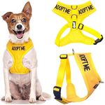 "ADOPT ME " Yellow Color Coded Small Vest Dog Harness (New Home Needed) Donate To Your Local Charity!