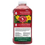 Perky-Pet 238 Hummingbird Nectar, 32-Ounce Concentrate