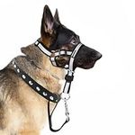 Dog Head Collar No Pull Gentle of Leader for Dogs, Adjustable Dog Head Halter Reflective Anti-Pull Muzzle Leash Dog Nose Strap for Easy to Control When Walking (Size S)