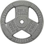 HulkFit 1-inch Iron Plate for Stren