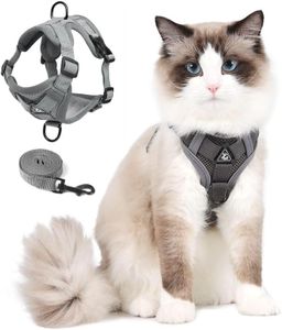 Cat Harnes