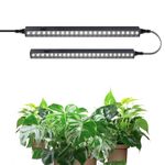 Barrina T5 1FT Grow Lights for Indoor Plants, 5000K LED Plant Light, Full Spectrum Grow Light, 10W(2 x 5W), Magnetic Black Cover LED Growing Lamps, Linkable, Plug and Play, 2 Packs