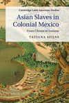 Asian Slaves in Colonial Mexico: Fr