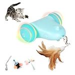 ZALBYUY Automatic Cat Toy for Indoo