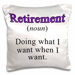 3dRose Retirement Noun Want Purple Pillow Case, White, 16 x 16-inch