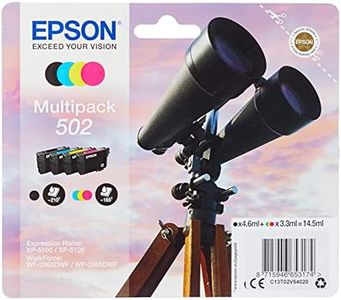 Epson C13T