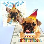 DongNaiWin French Bulldog 3D Birthday Funny Pop Up Cards, French Bulldog Birthday Cards, Happy Birthday Lovely Cards for French Bulldog Lovers