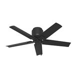 Hunter Fan Company 51581 Terrace Cove Ceiling Fan, 44, Matte Black