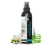 Foodie Puppies Sea Breeze Cat Perfume Spray - 200 ml with Extract of Lavender and Aloe-Vera | Daily use, Safe Deodorizer, Body Bad Odor - Safe & Effective Pet-Friendly Formula for Cats