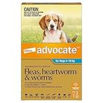 Advocate Flea, Heartworm and Worm C