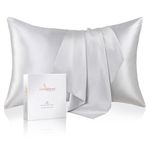 LOOMBERRY 100% Natural 22 Momme Pure Mulberry Silk Pillowcase for Hair and Skin Both Sides 22 Momme Highest Grade 6A with Hidden Zipper (Silver, Standard (50x66CM))