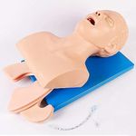 Oral Nasal Tracheal Intubation Mani