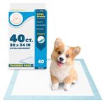 Fluffy Ventures Pet Dog and Puppy Pee Training Pads, Disposible Potty Pads, Regular 22" x 22" (28" x 34" - 40 Count)