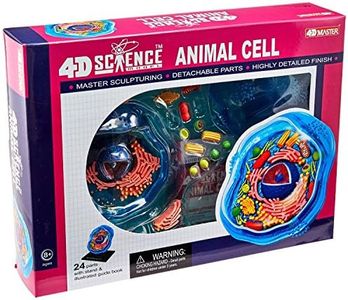 Famemaster 4D-Science Animal Cell Anatomy Model Coral, Black, Mint Green, Beige, Gold, Rose Gold