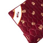 Coir-on Slim Foldable Travel Mattress- 72X48X1 (inch) - Maroon