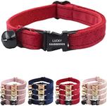 PETDURO Personalized Velvet Cat Collars with Bells & Name Engraved Metal Buckle Customized for Cute Girl Cats and Boy Cats (Small, Red Velvet Black Buckle)