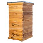 BeeCastle 10 Frame Langstroth Bee Hive Coated with 100% Beeswax includes Beehive Frames and Waxed Foundations (2 Deep Boxes & 2 Medium Boxes)