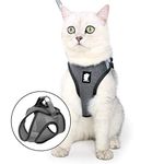 Cat Harness Leash Straps Soft and Comfortable Cat Walking Jacket with Running Cushioning and Escape Proof for Puppies with Cationic Fabric