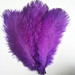 House Life 10pcs 12-14 Inch 30-35cm Ostrich Feathers Wedding Party Decoration (Purple)