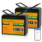 ECO-WORTHY 2Pack 12V 100AH LiFePO4 Battery for RV, Boat, Camping,Off Grid System-Group 24 Size with Bluetooth & Low Temp Protection