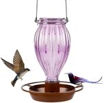 Juegoal Glass Wild Bird Waterer, 37 oz Wild Bird Feeder for Outdoors, Diamond Shaped Water Cooler with Metal Handle Hanging for Garden Tree Yard Outside Decoration, Violet