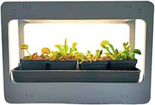 Venus Fly Trap Terrarium - for Indo