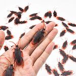 50 Pieces Prank Fake Roaches, Look Real Plastic Trick Joke Toys, Scary Insects Realistic Bugs Gag Gifts, Novelty Cockroach for Halloween Party