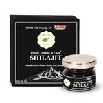 Baidyanath Ayurvedant Pure Himalayan Shilajit Resin, 20g - Standardized and Certified for Purity | Helps in boosting Stamina