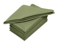 Cloth Napkins Set of 12 (18x18 Inches or 46x46 CM) 100% Cotton Everyday Use Premium Quality Cloth Napkins Ultra Soft Perfect Dinner Napkins/Table Napkins - Sage Green - The Home Talk