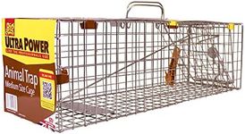 The Big Cheese Live Animal Trap – W