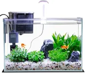 5 Gallon Glass Small Fish Tank, Bet