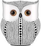 Owl Statue Home Decor (White) for Home Living Room Bedroom Bookshelf TV Stand Bedside Stand Office Decor