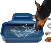 Automatic Dog Water Dispenser, 1 Ga