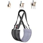 Padded Sling for Dogs Hind Legs, Buckle Dog Rear Lift Harness for Large Medium Small Dogs, Comfort Dog Lifter for Elderly Dog/Handicap with Hip&Acl Brace, Dog Support Harness for Back Legs (Large)